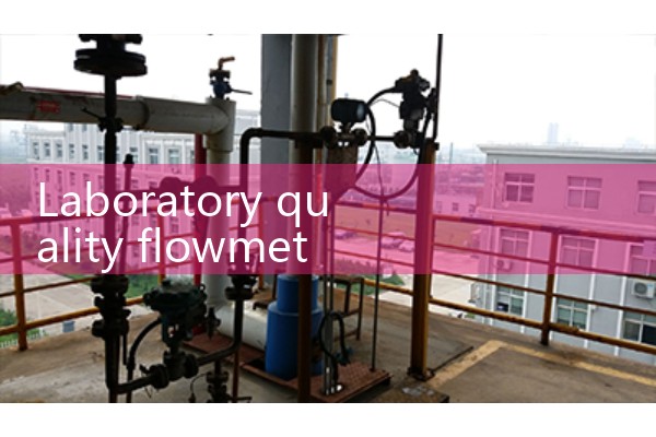 Laboratory quality flowmeter